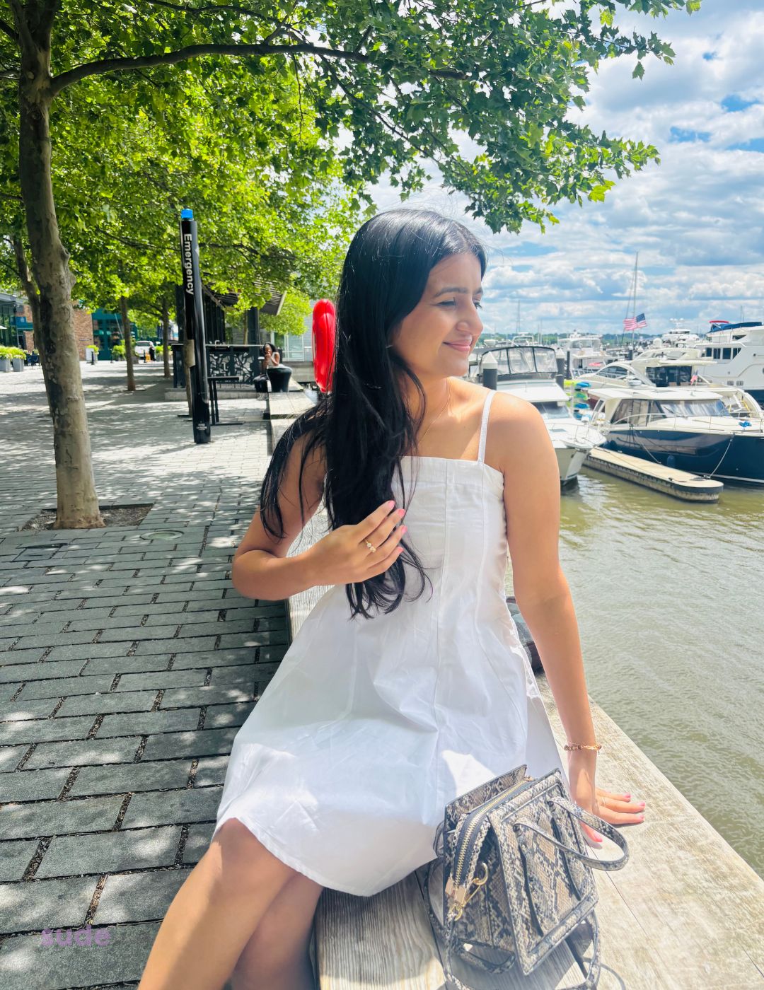 Chelsea Dress